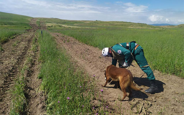 Hikmət Hacıyev minaya düşərək ölən Dina ilə bağlı paylaşım etdi - Fotolar