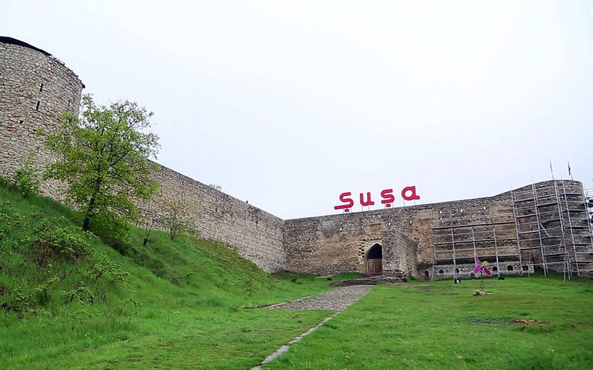 susa ela 12